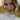 woman-with-crescent-moon-stud-in-helix-piercing