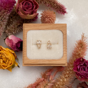 Double Dutch Earrings | 14k Moissanites