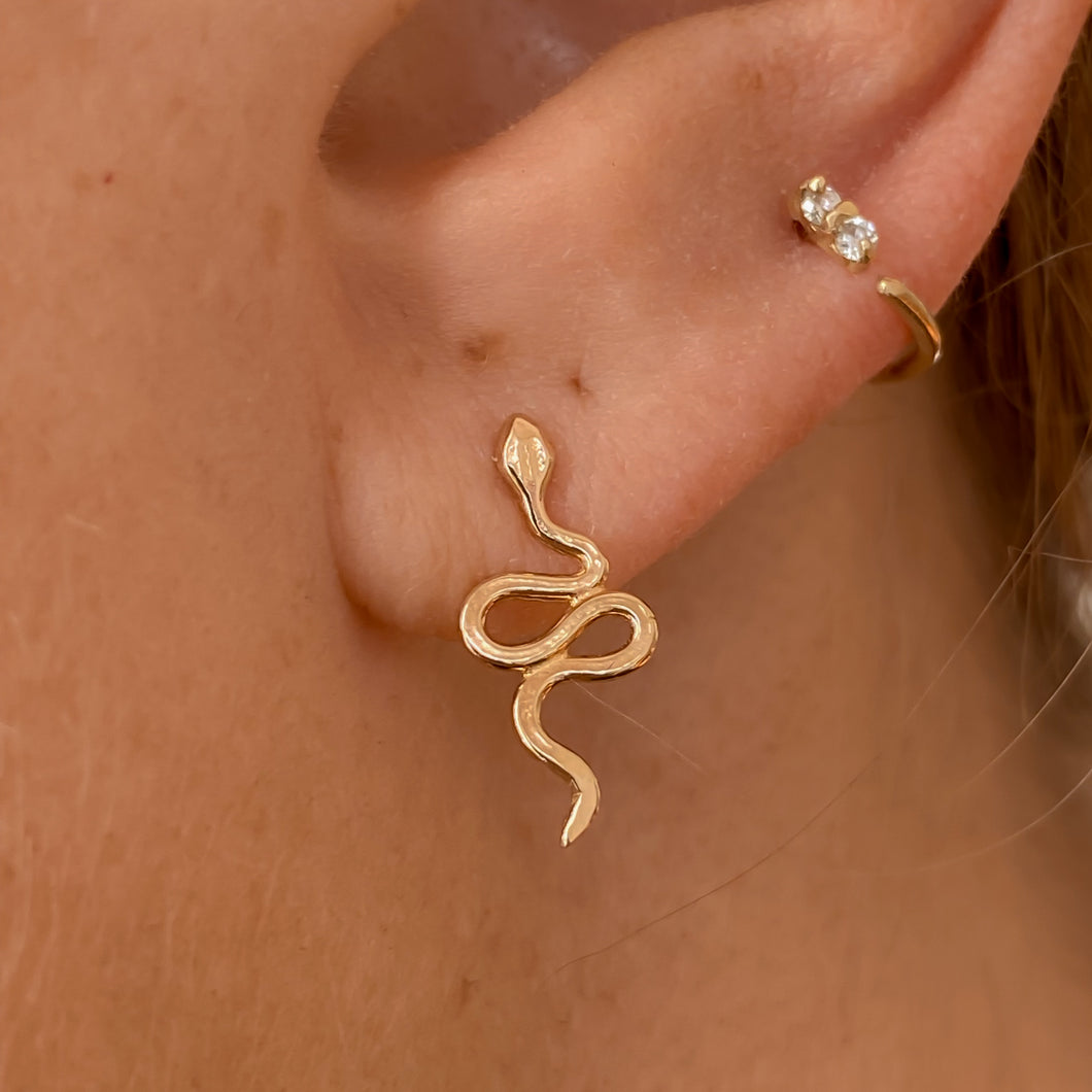 A close-up image of a person wearing a gold stud earring in the shape of a snake.