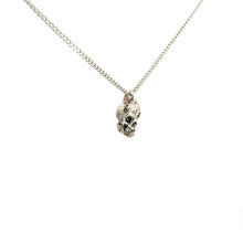 Load image into Gallery viewer, Pushin&#39; Up &#39;Dazees Necklace | Recycled Sterling Silver