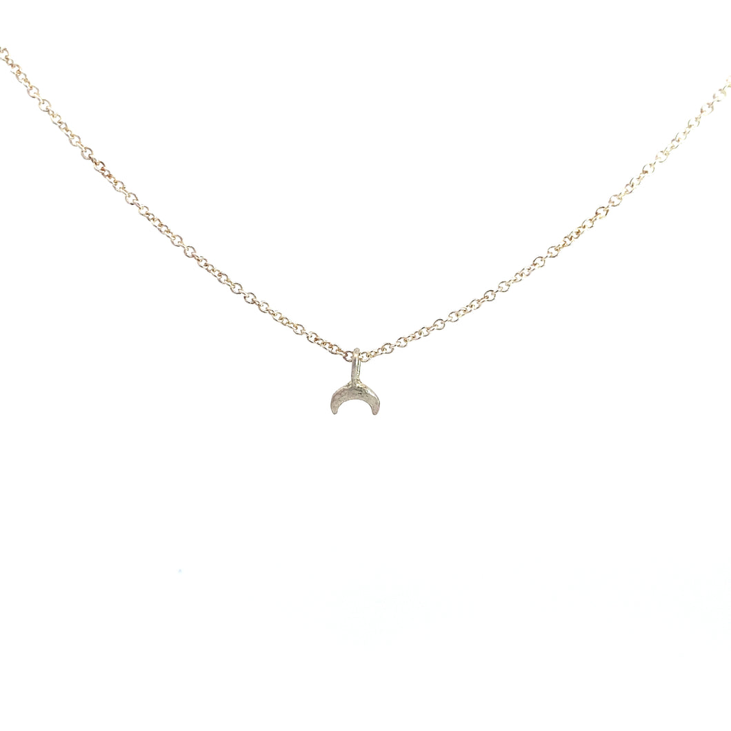 A crescent moon pendant necklace made of silver, displayed on a plain background.