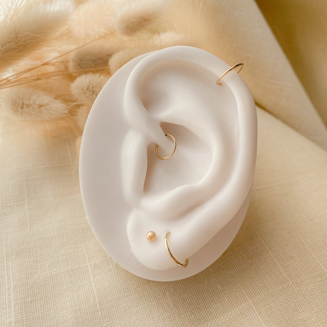 Ear form with 14k gold minimal ball stud earrings and gold hoops in the cartilage.
